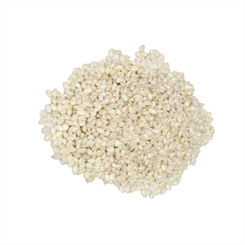 Ajonjoli Blanco