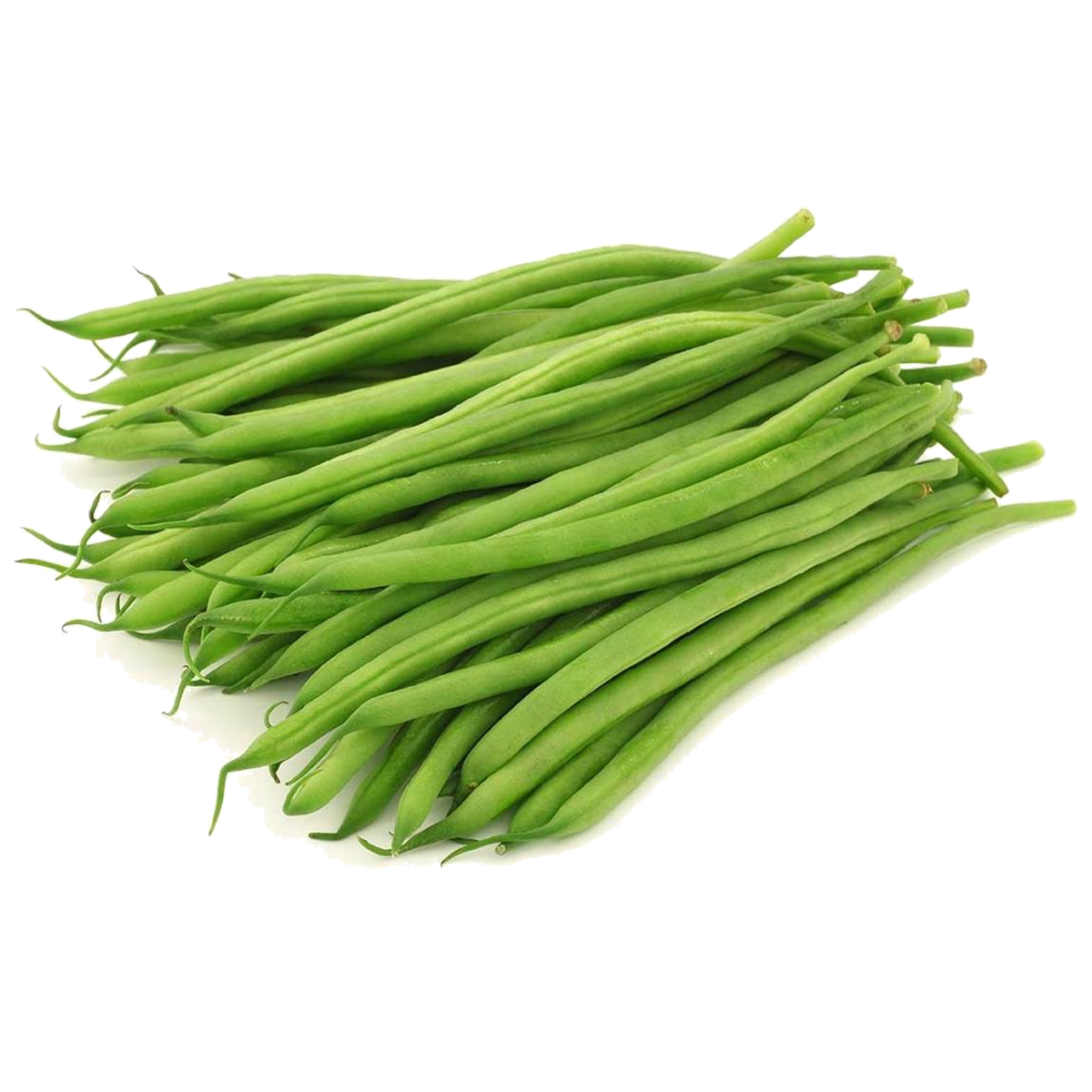 Ejote