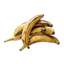 Platano Macho