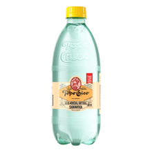 Agua mineral 600ml Topo Chico
