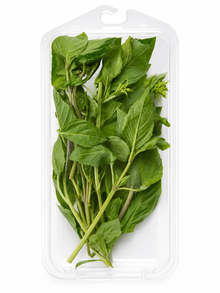 Albahaca Selecta 30g
