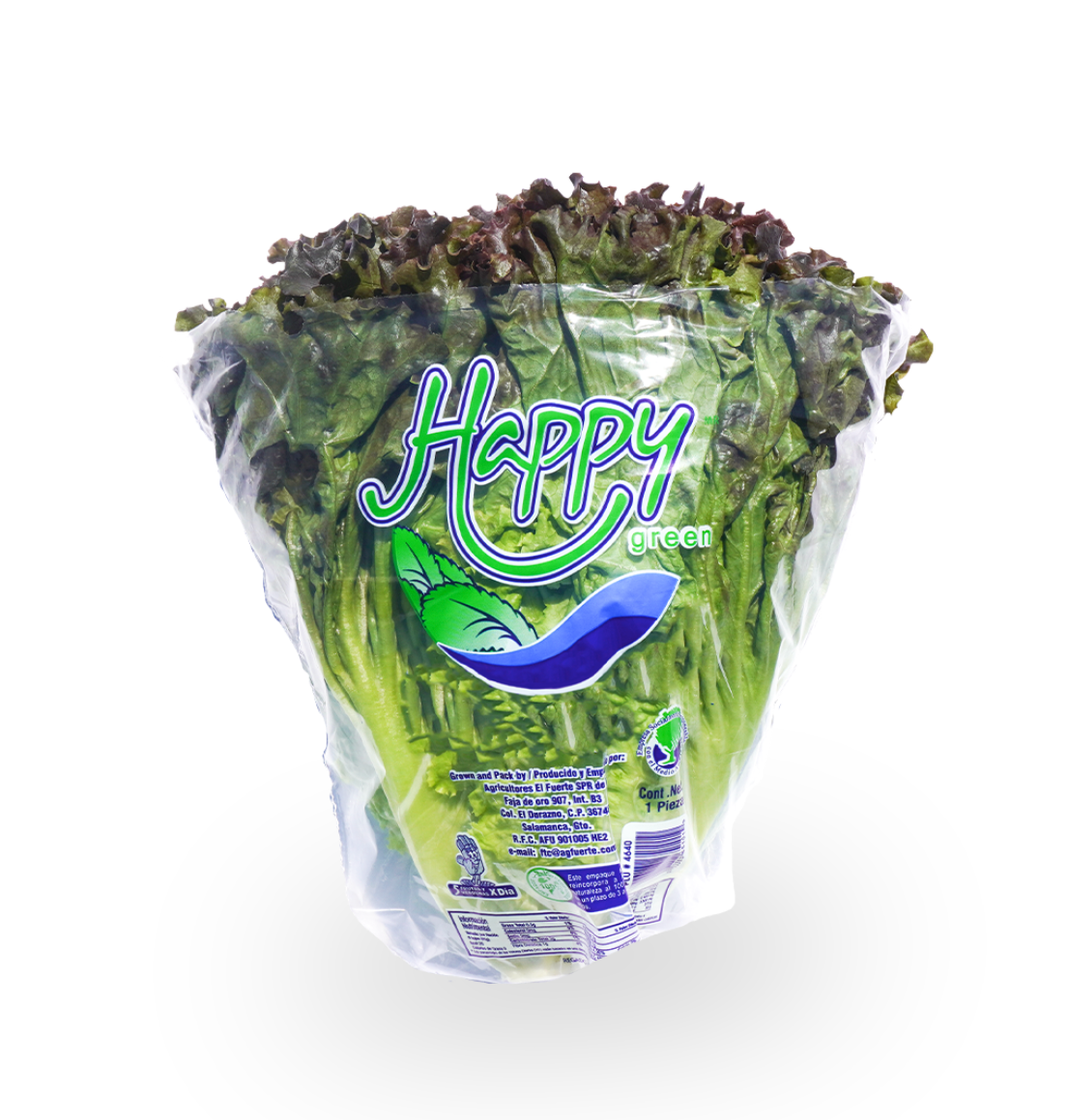 Lechuga Sangría Happy Green