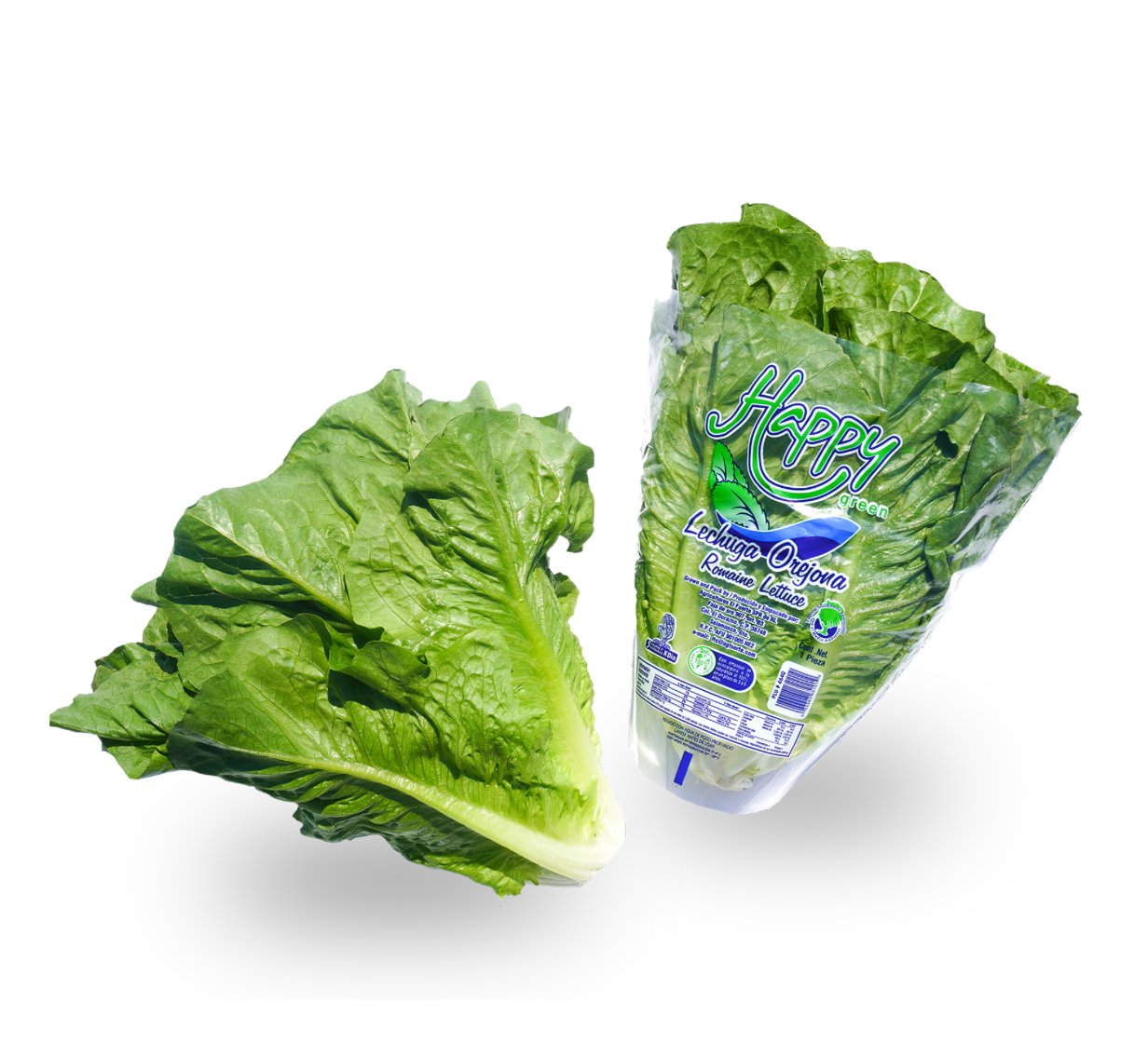 Lechuga Orejona Happy Green
