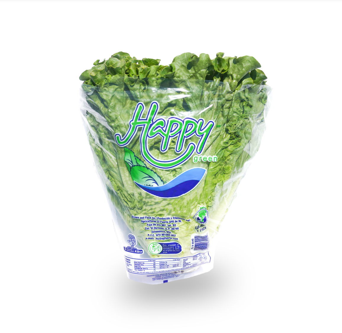 Lechuga Italiana Happy Green