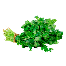 Cilantro