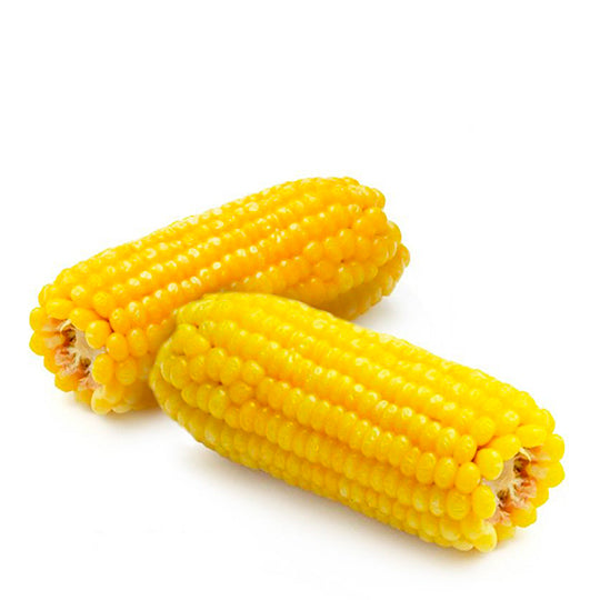 Elote amarillo