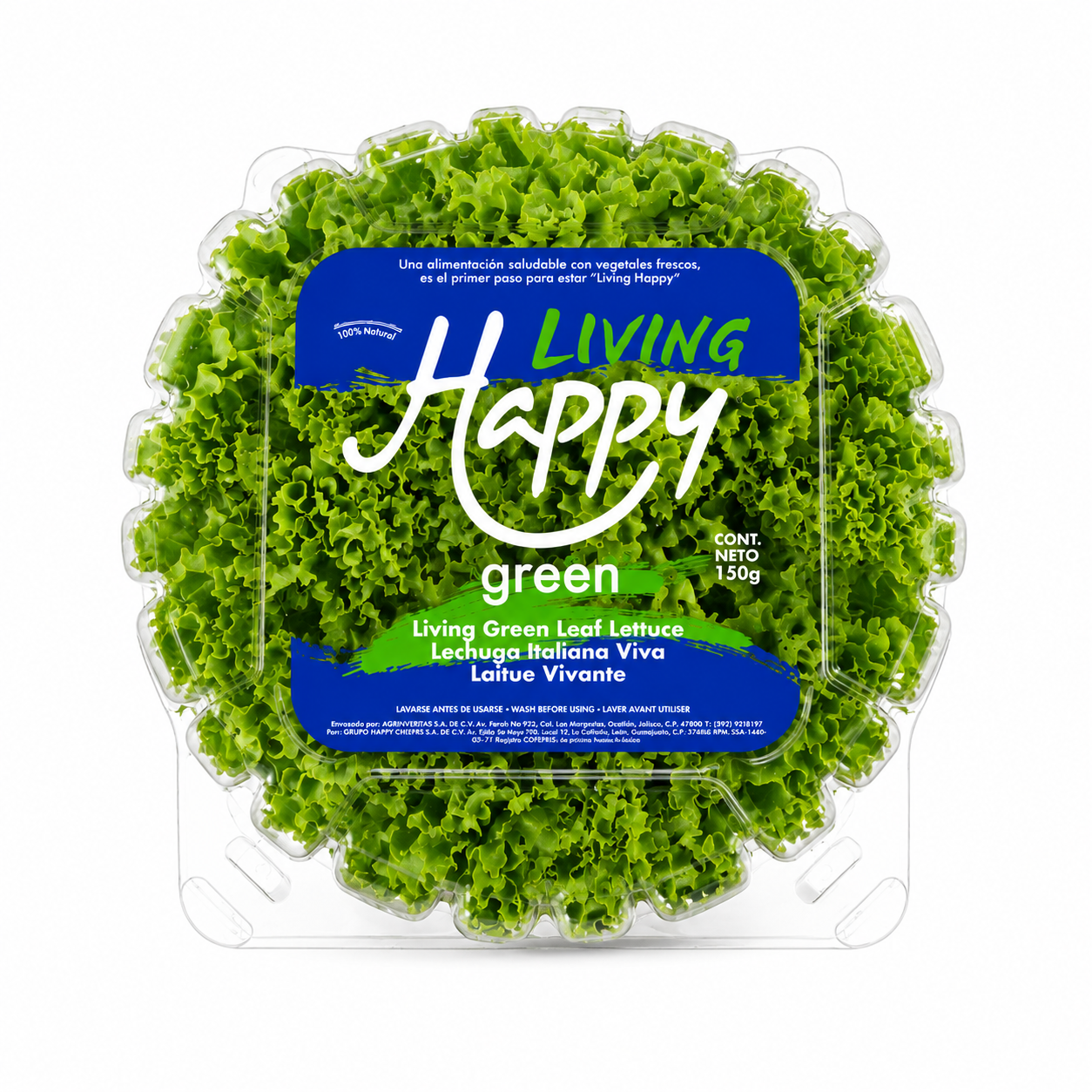 Lechuga Hidropónica  Happy Green