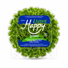Lechuga Hidropónica  Happy Green