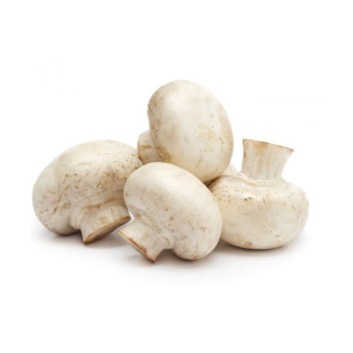 Champiñon blanco