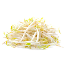 Germen de Soya