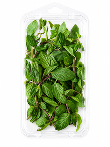 Menta Selecta 30g