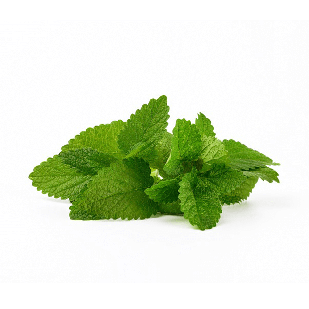 Menta