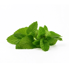 Menta